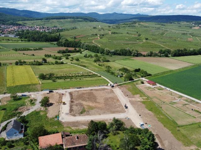 Terrain vente à Thann-Guebwiller, Bergholtz