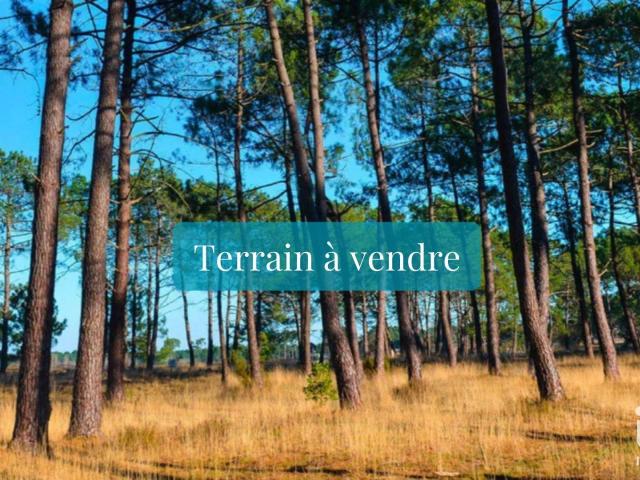 Terrain vente à Dax, Tosse