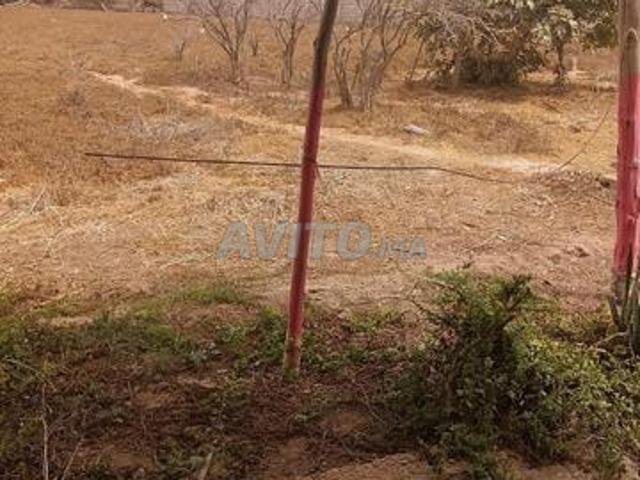 Propriété vente à Aït Melloul, Oued ed Dahab-Lagouira