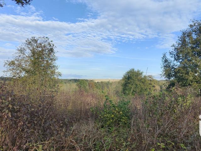 Terrain vente à Auxerre, Saint-maurice-thizouaille