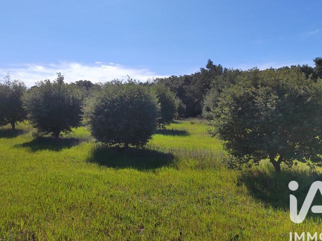 Terrain vente à Carpentras, Travaillan