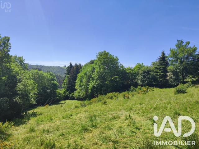Terrain vente à Mende, Aumont-aubrac
