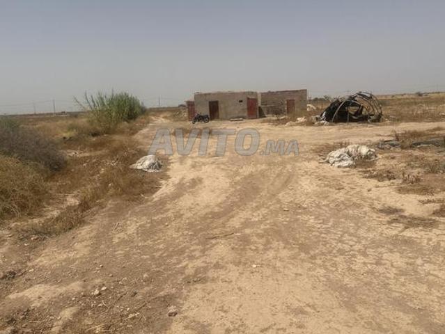 Propriété vente à Essaouira, L'Oriental