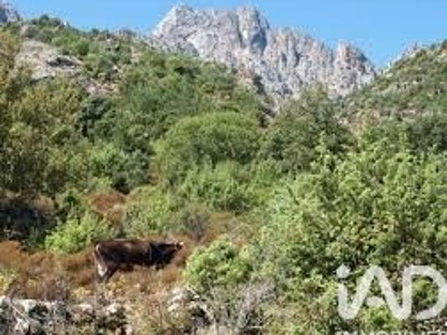 Terrain vente à Corte, Popolasca