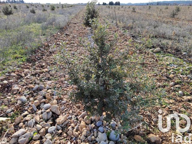 Terrain vente à Carpentras, Sainte-cécile-les-vignes