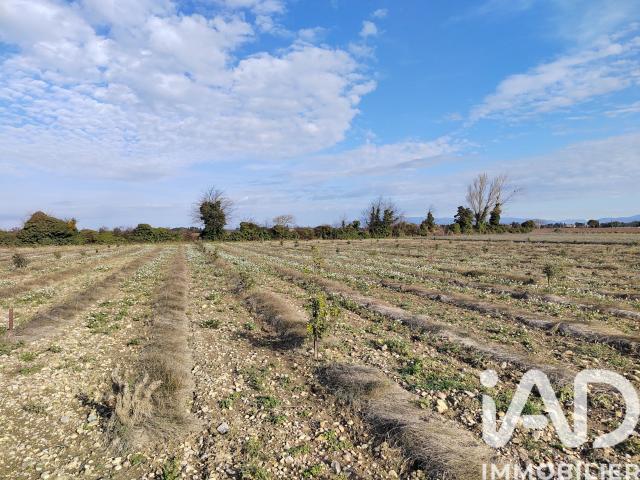 Terrain vente à Carpentras, Sainte-cécile-les-vignes