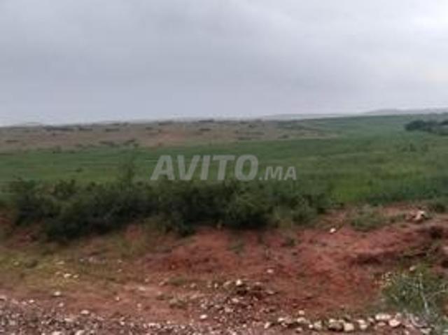 Propriété vente à Al Haouz, L'Oriental