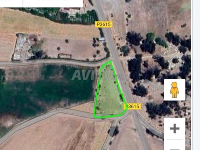 Propriété vente à Settat, Gharb-Chrarda-Beni Hssen