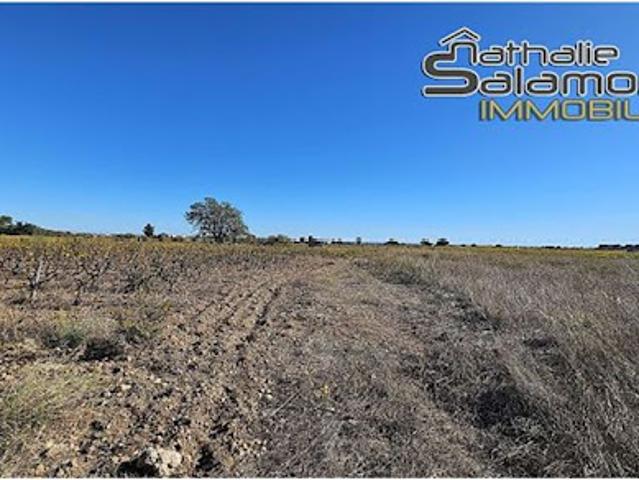 Terrain vente à Montpellier, Frontignan