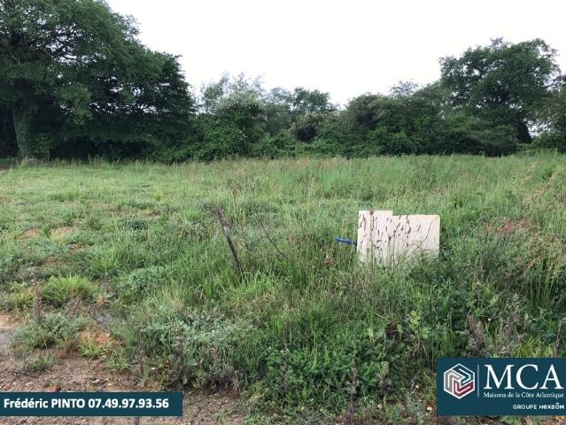 Terrain vente à Mont-de-Marsan, Benquet