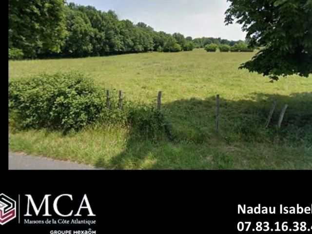 Terrain vente à France métropolitaine, Saint-christoly-de-blaye