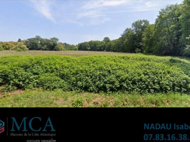 Terrain vente à France métropolitaine, Saint-christoly-de-blaye