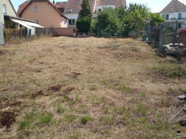 Terrain vente à Eckwersheim, Collectivité européenne d'Alsace
