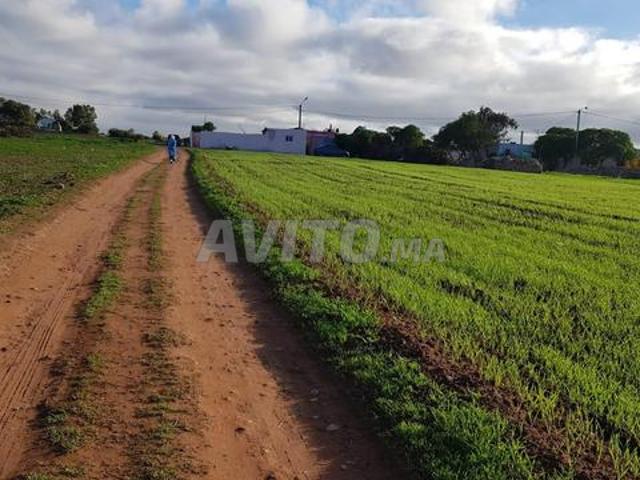 Propriété vente à El Ma, Gharb-Chrarda-Beni Hssen