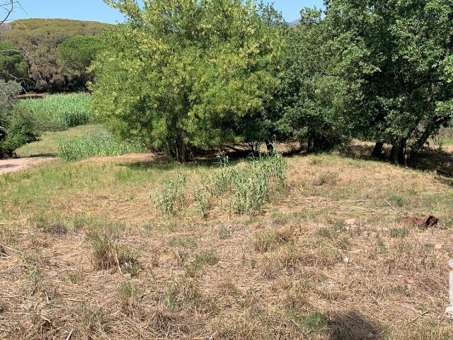 Terrain vente à Arrondissement de Draguignan, Fréjus