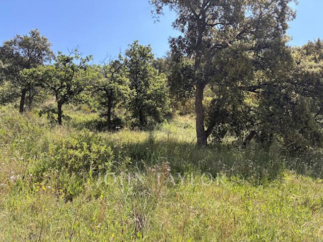 Terrain vente à Arrondissement de Draguignan, Grimaud