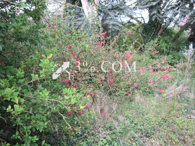 Terrain vente à Lille, Seclin