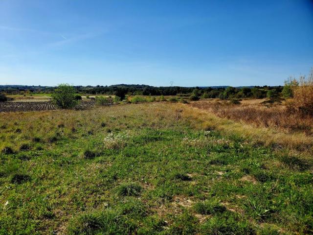 Terrain vente à Montpellier, Loupian