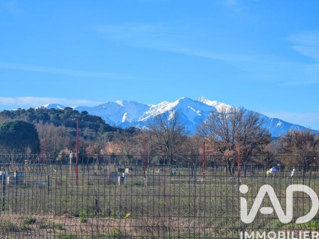 Terrain vente à Perpignan, Estagel