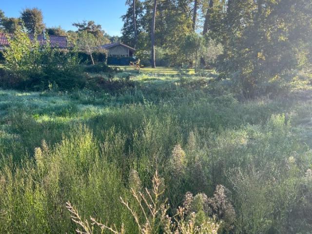 Terrain vente à Lesparre-Médoc, Castelnau-de-médoc