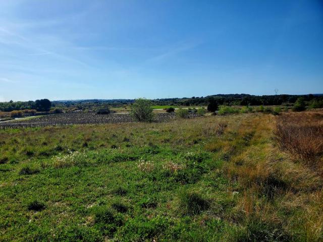 Terrain vente à Montpellier, Loupian