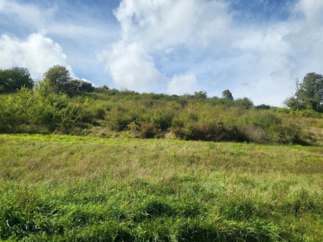 Terrain vente à Cosne-Cours-sur-Loire, Chaulgnes