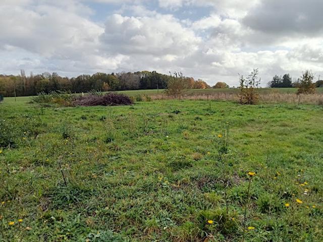 Terrain vente à Dijon, Binges