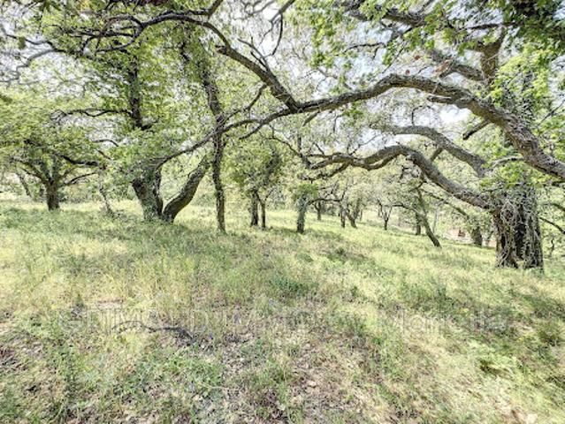 Terrain vente à Arrondissement de Draguignan, Grimaud