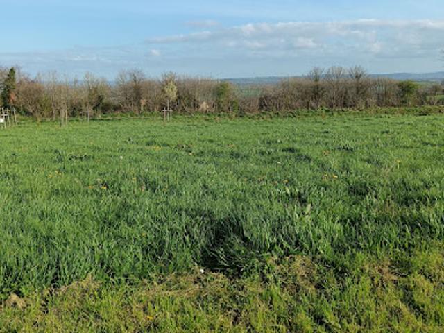 Terrain vente à Saint-Lô, Précorbin