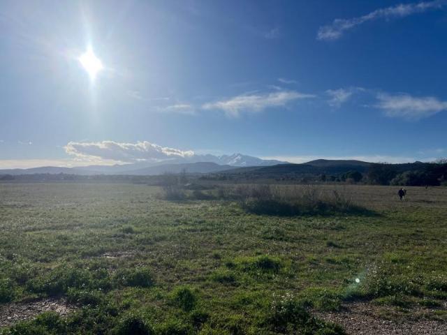 Terrain vente à Perpignan, Llupia