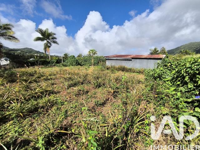 Terrain vente à La Réunion
