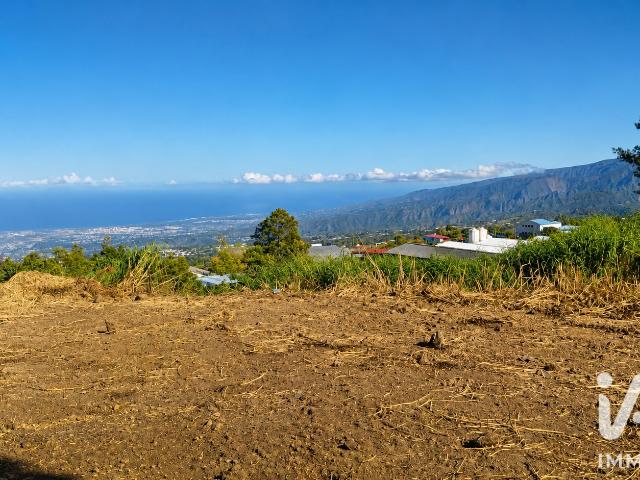 Terrain vente à La Réunion