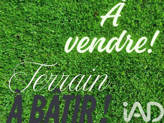 Terrain vente à Segré, Le Bourg-d'iré