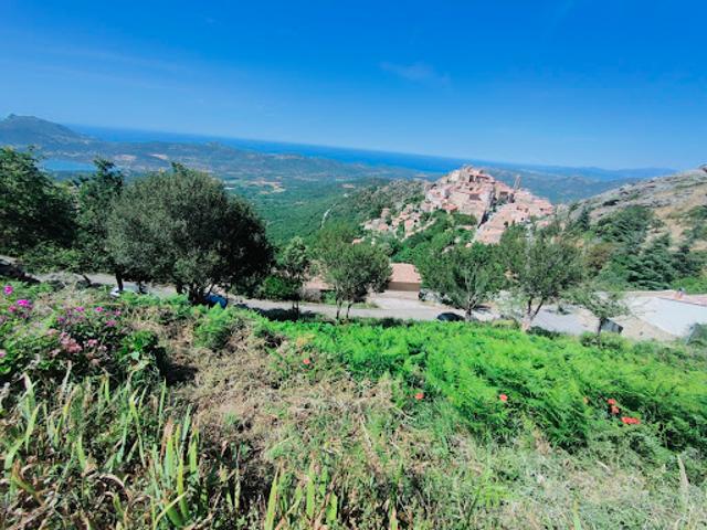 Terrain vente à Calvi, Speloncato