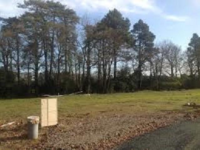 Terrain vente à Pissos, Landes