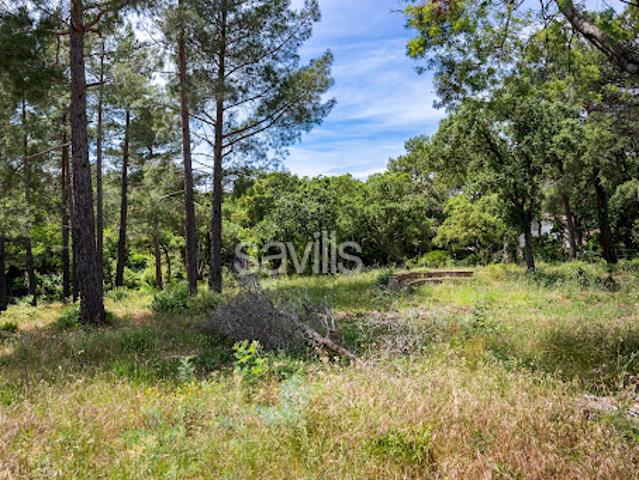 Terrain vente à Arrondissement de Draguignan, Grimaud