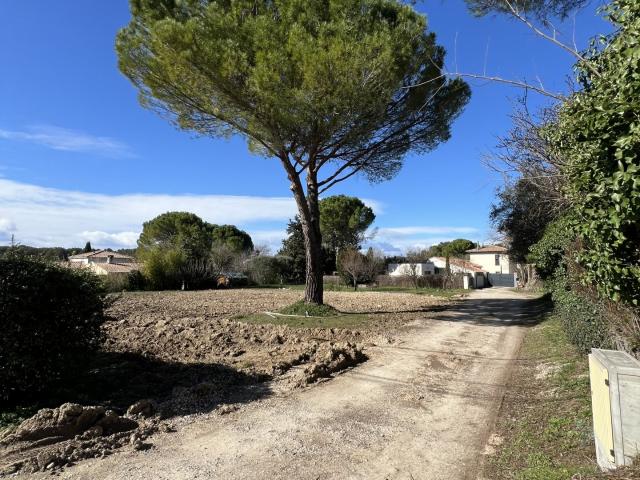 Terrain vente à Montpellier, Sussargues