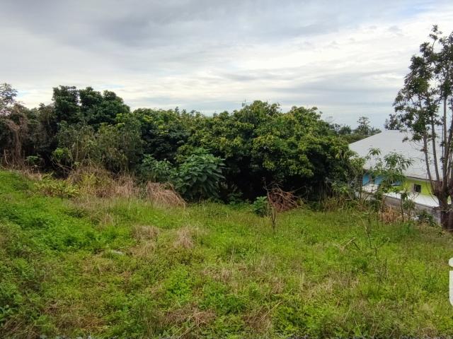 Terrain vente à Petite-île, Piton des Goyaves