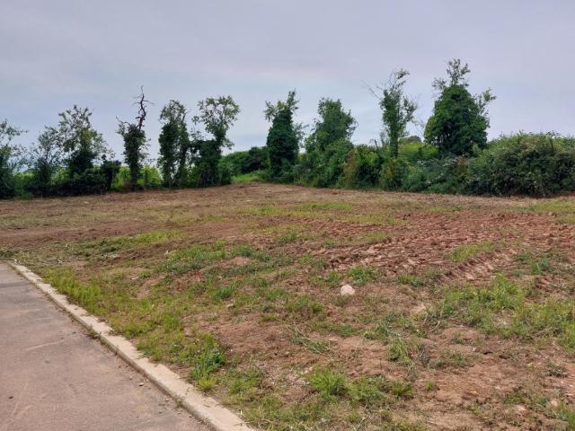 Terrain vente à Sélestat-Erstein, Châtenois