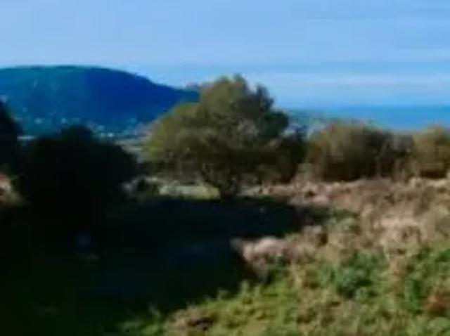 Terrain vente à Calvi, Belgodère