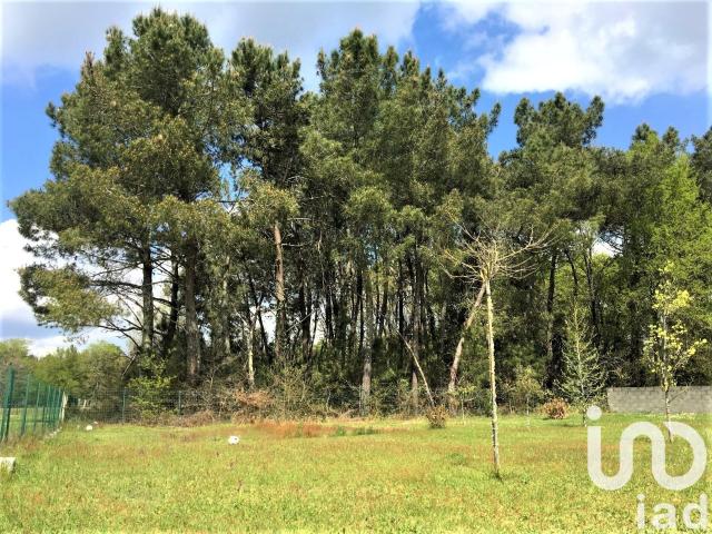 Terrain vente à Jonzac, Bussac-forêt