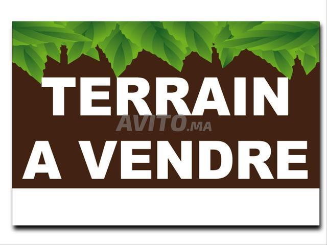 Propriété vente à Hay Riad, Berkane