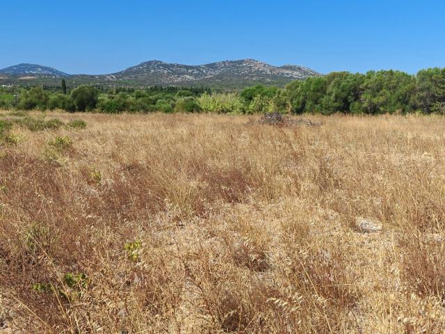 Terrain vente à Narbonne, La Palme