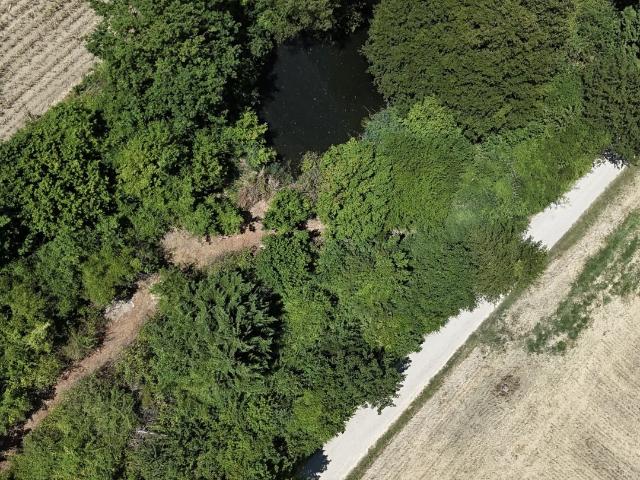 Terrain vente à Strasbourg, Eschau