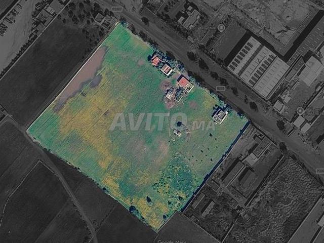 Propriété vente à Saf, L'Oriental