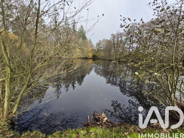 Terrain vente à France métropolitaine, Nieul-le-dolent