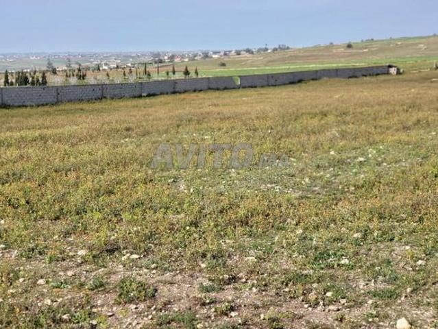 Propriété vente à El Ma, Gharb-Chrarda-Beni Hssen