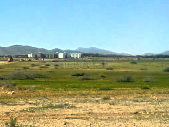 Terrain vente à Marrakech, L'Oriental