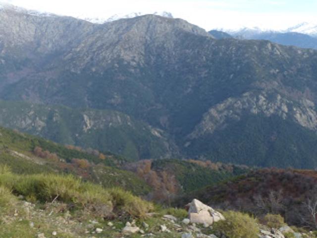 Terrain vente à Ajaccio, Letia