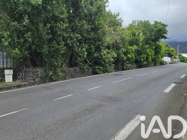 Terrain vente à La Réunion